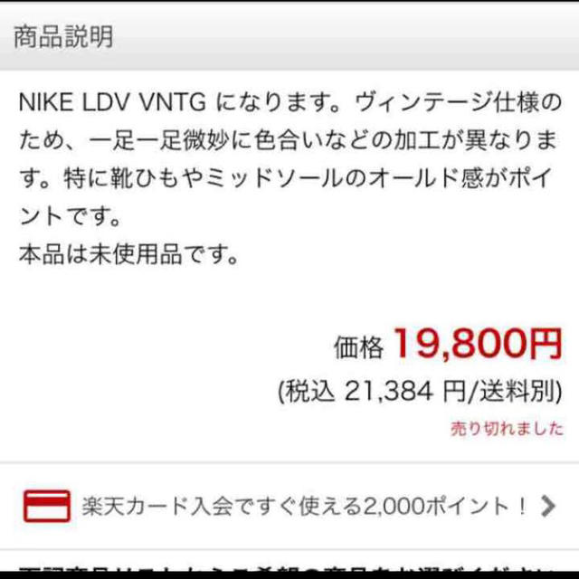 NIKE(ナイキ)のnike vntg LDVレアスニーカー メンズの靴/シューズ(スニーカー)の商品写真