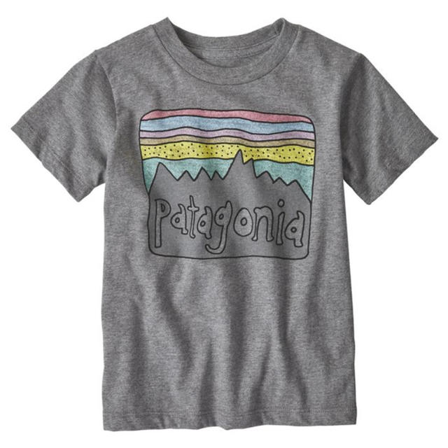patagonia(パタゴニア)のパタゴニア☆Tシャツ 3T キッズ/ベビー/マタニティのキッズ服男の子用(90cm~)(Tシャツ/カットソー)の商品写真