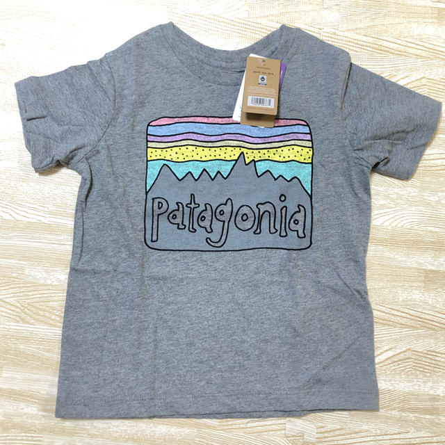 patagonia(パタゴニア)のパタゴニア☆Tシャツ 3T キッズ/ベビー/マタニティのキッズ服男の子用(90cm~)(Tシャツ/カットソー)の商品写真