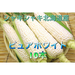 北海道産 ゆでトウモロコシ 有機JAS認定(野菜)
