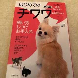 コウダンシャ(講談社)のはじめてのチワワ 飼育本 飼い方 しつけ お手入れ(犬)