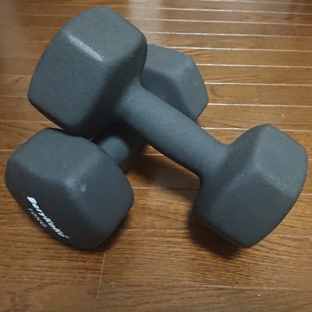 ダンベル 10kg×2 スポーツ/アウトドアのトレーニング/エクササイズ(トレーニング用品)の商品写真