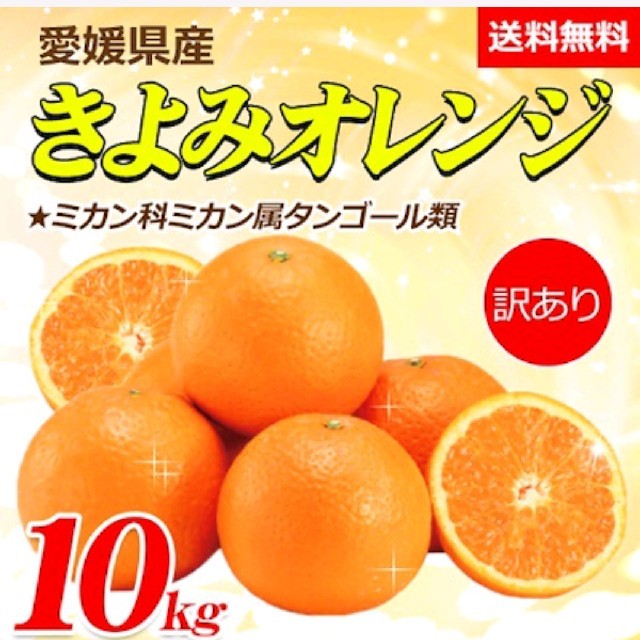 ちるる◯o。さま専用。農家直送‼️訳あり家庭用きよみオレンジ10kg＋10kg 食品/飲料/酒の食品(フルーツ)の商品写真