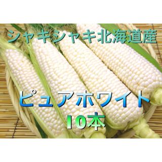 北海道産 ゆでトウモロコシ 有機JAS認定(野菜)