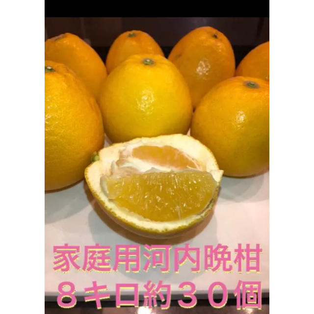 河内晩柑 宇和島 みかん 美生柑 グレープフルーツ ビタミン 食品/飲料/酒の食品(フルーツ)の商品写真