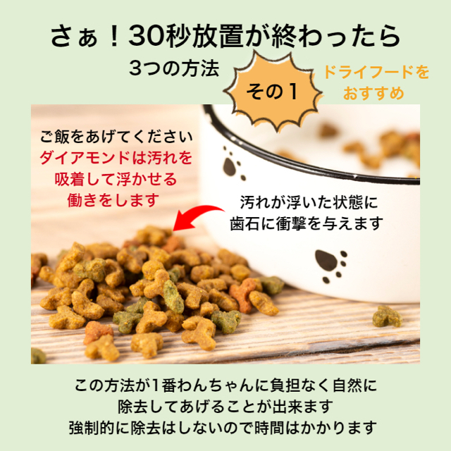 購入OK ● 犬の歯石除去 & 毎日の歯磨き 取る道具セット その他のペット用品(犬)の商品写真