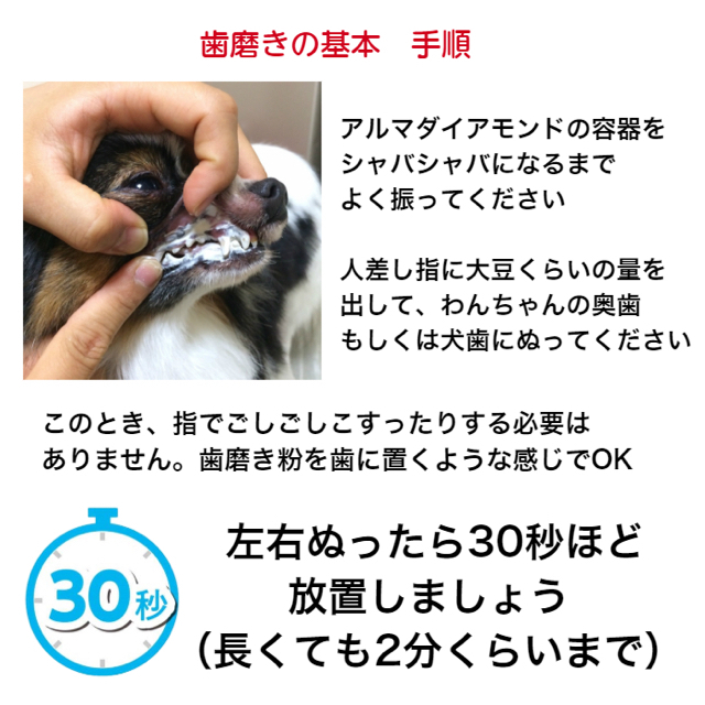 購入OK ● 犬の歯石除去 & 毎日の歯磨き 取る道具セット その他のペット用品(犬)の商品写真