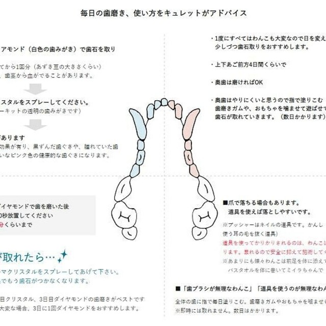 購入OK ● 犬の毎日の歯磨き その他のペット用品(犬)の商品写真