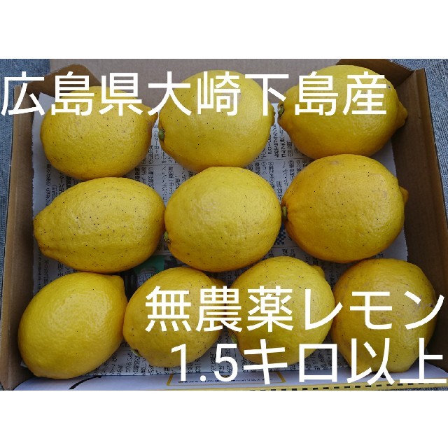 広島県大崎下島産 無農薬レモン 1.5キロ 食品/飲料/酒の食品(フルーツ)の商品写真