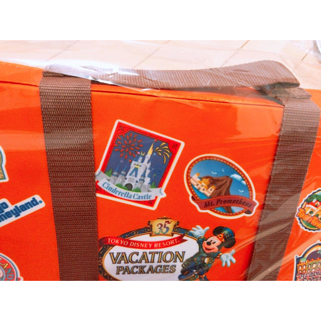 Disney(ディズニー)の【バケーションパッケージ】ディズニーリゾート35周年/レジャーシート エンタメ/ホビーのおもちゃ/ぬいぐるみ(キャラクターグッズ)の商品写真