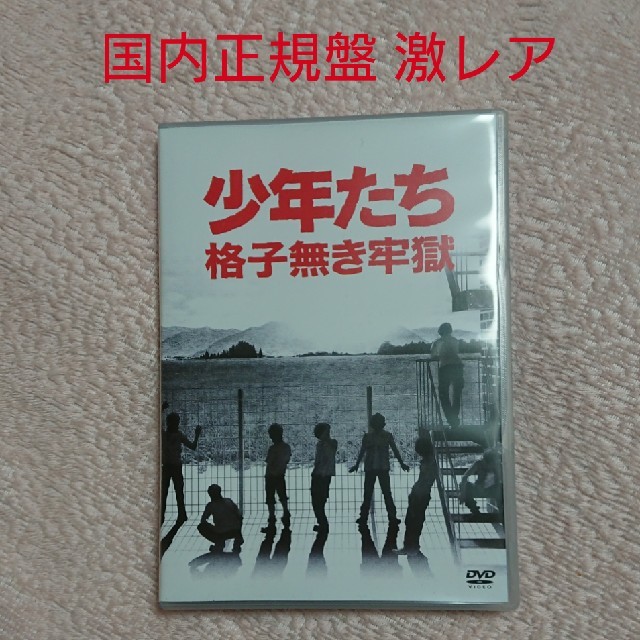 7日まで取り置き 少年たち 格子無き牢獄 DVD 国内正規盤