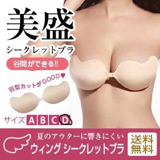 ゆうパケット【Dカップ】ウィングシークレットブラ ヌーブラ(ヌーブラ)