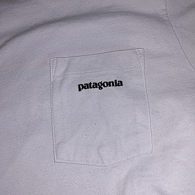 patagonia(パタゴニア)のパタゴニア Tシャツ メンズのトップス(Tシャツ/カットソー(半袖/袖なし))の商品写真