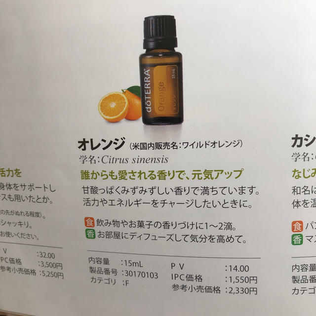 オレンジ コスメ/美容のリラクゼーション(アロマオイル)の商品写真