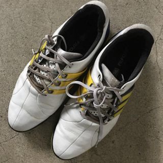 アディダス(adidas)のゴルフシューズ(シューズ)