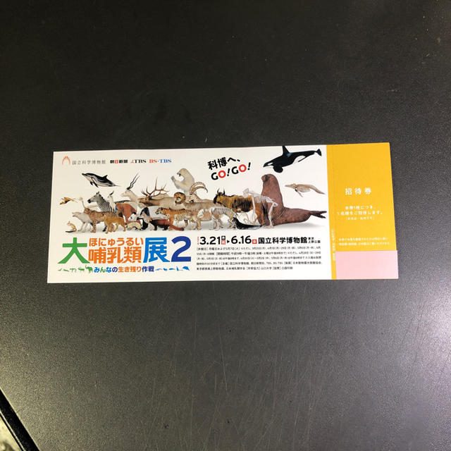 peco様専用です。大哺乳類展2 国立科学博物館 チケットの施設利用券(美術館/博物館)の商品写真