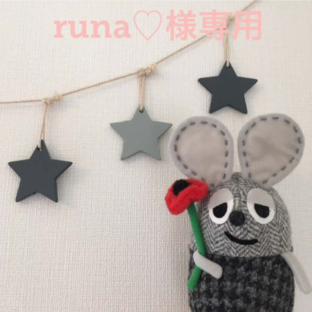みください runa♡様専用*° します