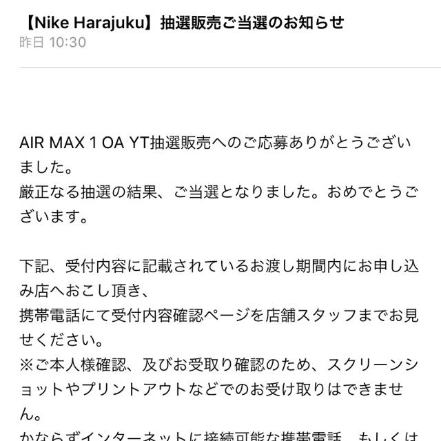 NIKE(ナイキ)のwani wani〜さん専用 NIKE Air Max 1 OA YT メンズの靴/シューズ(スニーカー)の商品写真