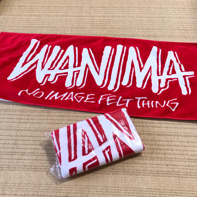 WANIMA(ワニマ)のWANIMA everybody TOUR2018 タオル   エンタメ/ホビーのDVD/ブルーレイ(ミュージック)の商品写真