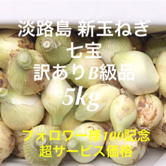 淡路島新玉ねぎ 七宝 5kg 訳あり フォロワー様100記念  食品/飲料/酒の食品(野菜)の商品写真