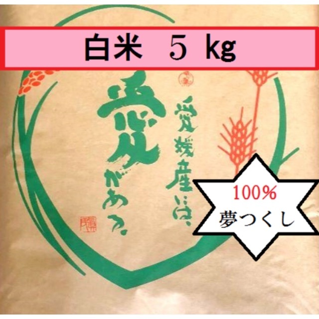 マロン様専用 お米　H30　夢つくし　白米　5㎏  黒米800g 食品/飲料/酒の食品(米/穀物)の商品写真