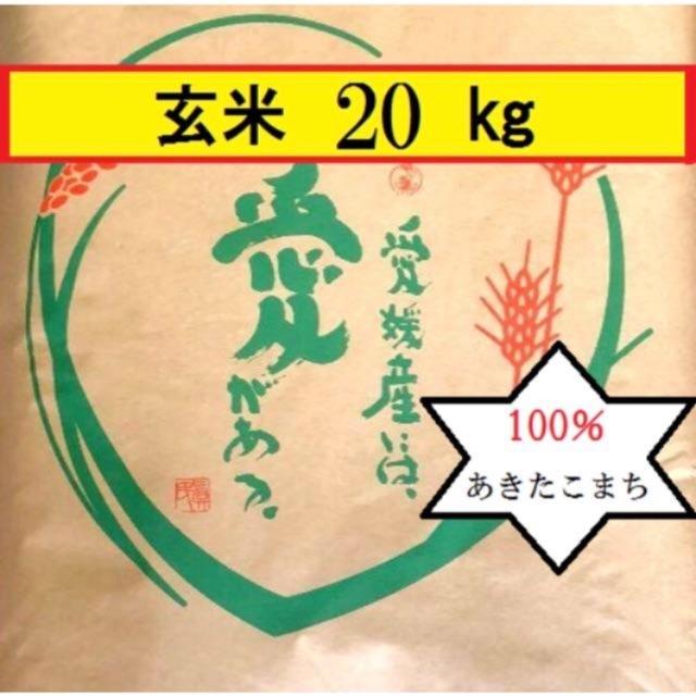 うみ様専用  お米　H30　愛媛県産あきたこまち　玄米　20㎏ 食品/飲料/酒の食品(米/穀物)の商品写真