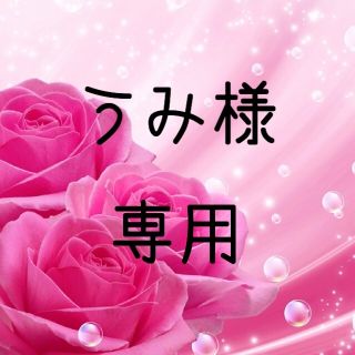 うみ様専用  お米　H30　愛媛県産あきたこまち　玄米　20㎏(米/穀物)