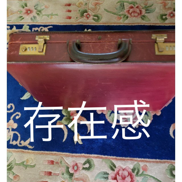 AIGNER - ヴィンテージ アイグナー アタッシュケース 西独製品