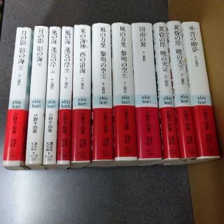 コウダンシャ(講談社)の★小説★十二国記 11冊セット 小野不由美 講談社X文庫 ホワイトハート(文学/小説)