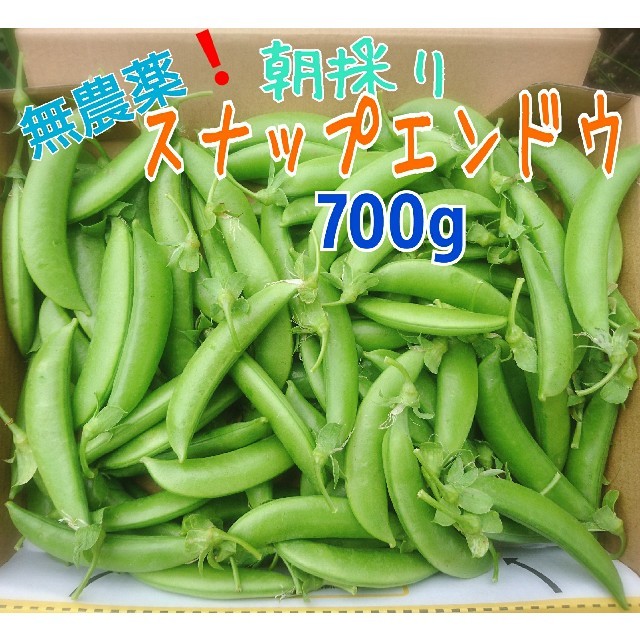 無農薬栽培 スナップエンドウ700g 長崎県 五島列島より♪ 食品/飲料/酒の食品(野菜)の商品写真