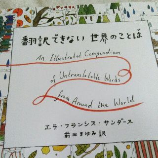 翻訳できない世界のことば(ノンフィクション/教養)