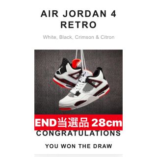 ナイキ(NIKE)のAIR JORDAN 4 (スニーカー)