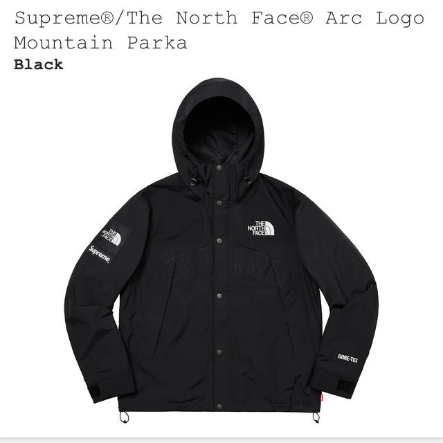 Supreme(シュプリーム)の海外正規品 Supreme North Face Mountain Parka メンズのジャケット/アウター(マウンテンパーカー)の商品写真