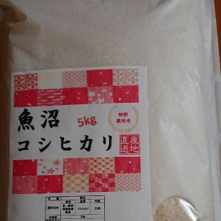 5㎏【魚沼コシヒカリ】産地直送‼️(米/穀物)