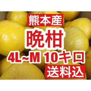 熊本産 河内晩柑(ジューシーオレンジ)  家庭用10キロ M〜4Lサイズ 送料込(フルーツ)