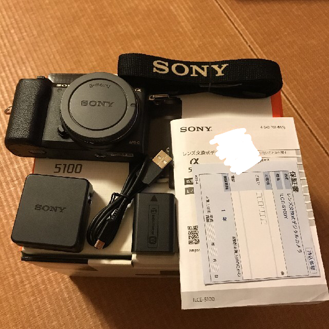 SONY - Sonyα5100ボディのみの通販 by なおさん's shop｜ソニーならラクマ