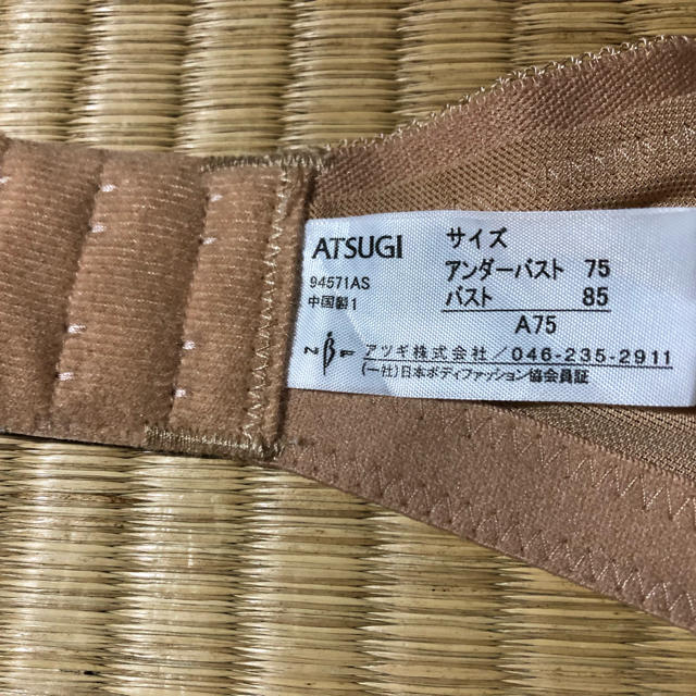 Atsugi(アツギ)のブラジャー レディースの下着/アンダーウェア(ブラ)の商品写真