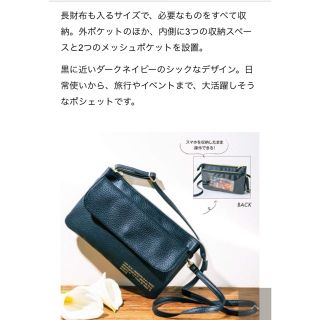 ズッカ(ZUCCa)のインレッド付録♡ズッカのポシェット(ショルダーバッグ)