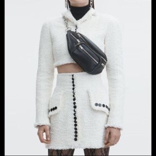 アレキサンダーワン(Alexander Wang)のsさん(ボディーバッグ)