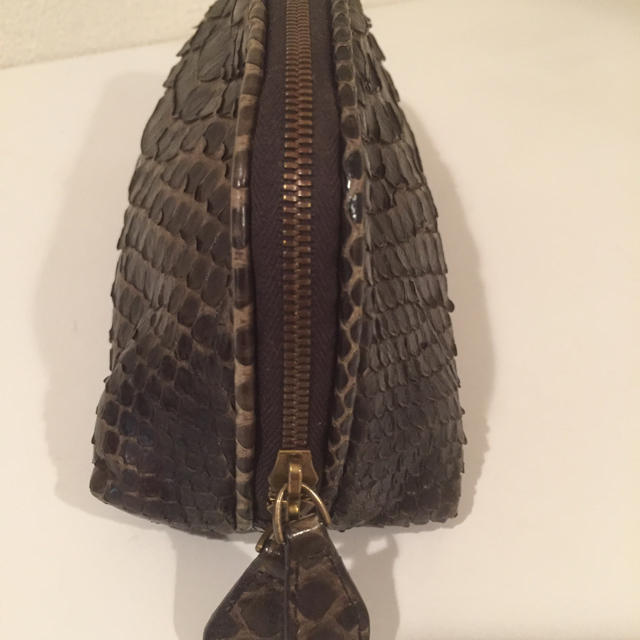 Bottega Veneta(ボッテガヴェネタ)のボッテガベネタ  パイソンポーチ レディースのファッション小物(ポーチ)の商品写真