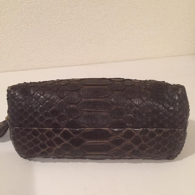 Bottega Veneta(ボッテガヴェネタ)のボッテガベネタ  パイソンポーチ レディースのファッション小物(ポーチ)の商品写真