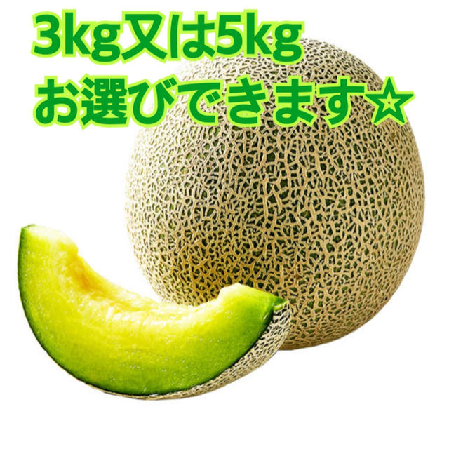 産地直送 茨城県鉾田市産 アンデスメロン 3kg 5kg 糖度14度以上 食品/飲料/酒の食品(フルーツ)の商品写真