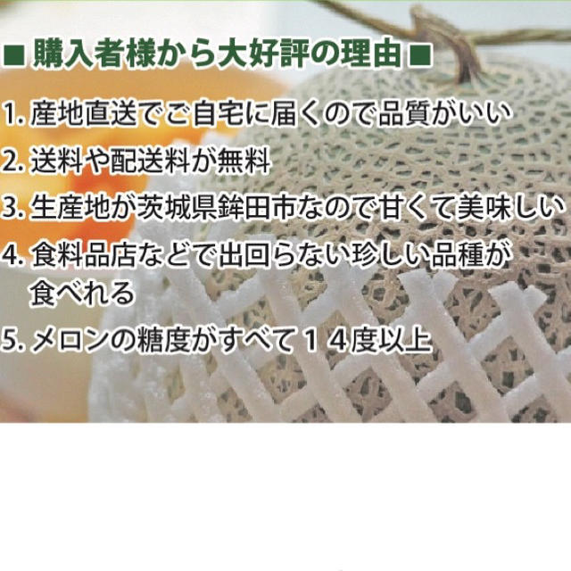 産地直送 茨城県鉾田市産 アンデスメロン 3kg 5kg 糖度14度以上 食品/飲料/酒の食品(フルーツ)の商品写真