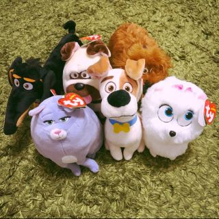 ユニバーサルスタジオジャパン(USJ)のUSJ 限定 新商品  ペット pets ぬいぐるみ マックス デューク(ぬいぐるみ)