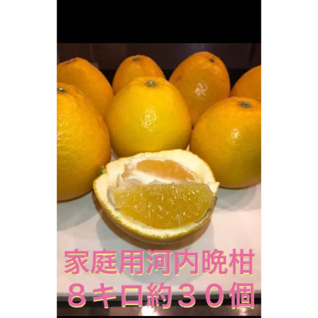 河内晩柑 宇和島 みかん 美生柑 グレープフルーツ ビタミン 食品/飲料/酒の食品(フルーツ)の商品写真