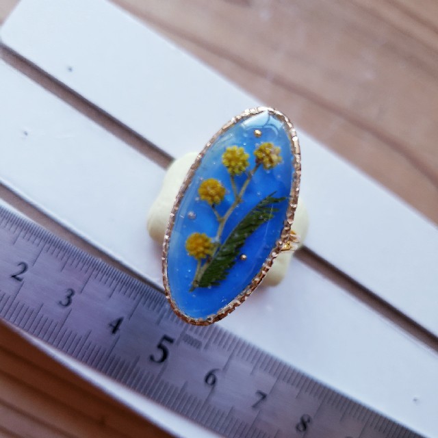 ミモザ ブルー フリーサイズリング レディースのアクセサリー(リング(指輪))の商品写真