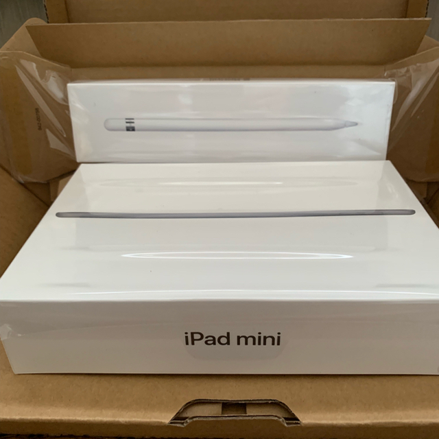 Apple(アップル)のりん様専用  iPad mini5 256GB Cellular pencil  スマホ/家電/カメラのPC/タブレット(タブレット)の商品写真