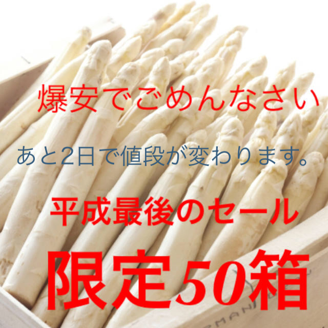 北海道の郵便局よりも安い！北海道産ホワイトアスパラガス Lサイズ5束 食品/飲料/酒の食品(野菜)の商品写真