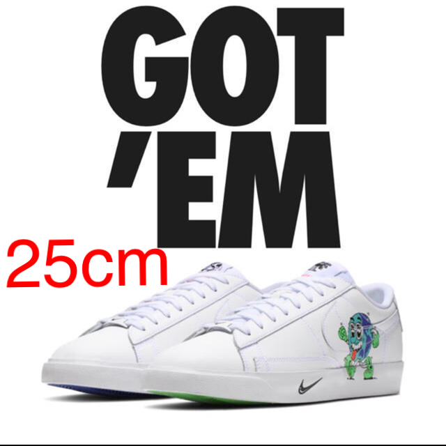 25cm NIKE ブレーザー  ロー earthday collection