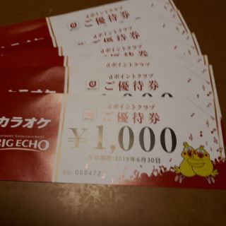 ビッグエコー　6000円(その他)